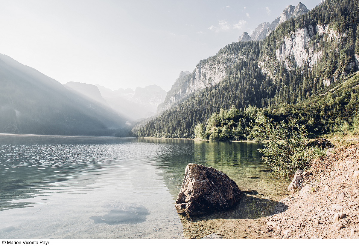 Trek Safari - King Dachstein Trail pro běžce 2